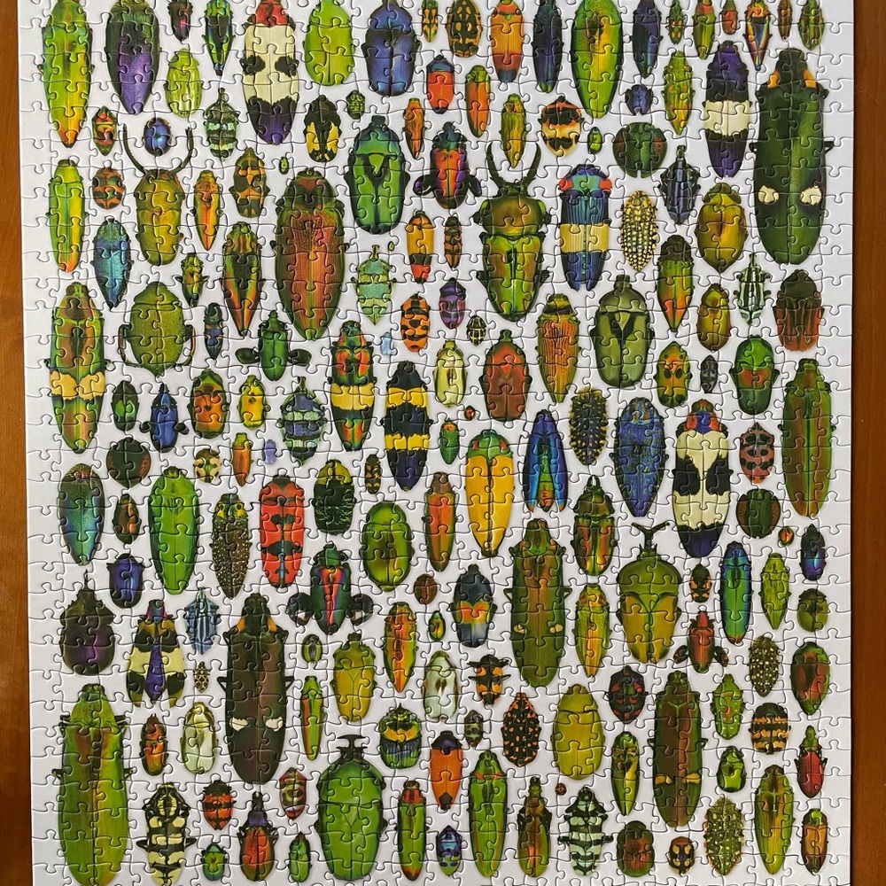 Pomegranate Exquisite Creatures Christopher Marley 1000 pieces